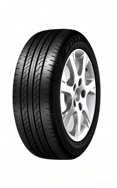 MAXXIS Car tyres MS1